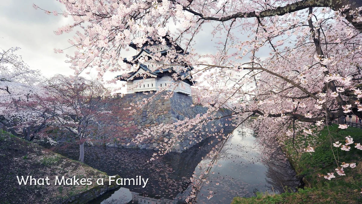 What Makes a Family