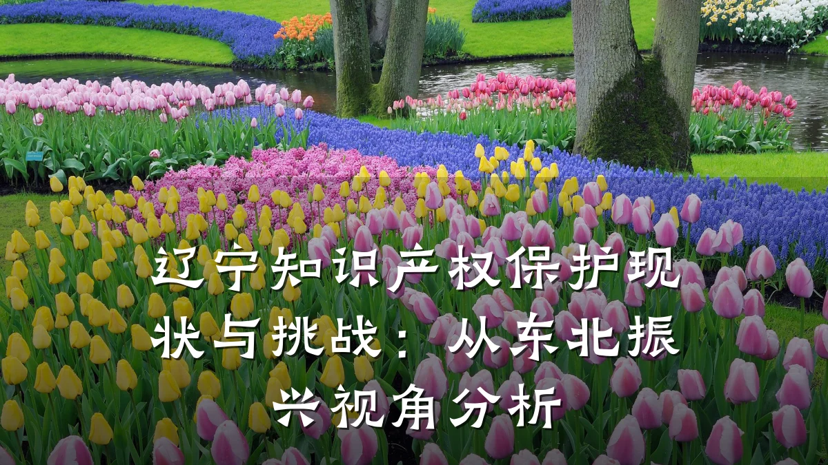 辽宁知识产权保护现状与挑战:从东北振兴视角分析