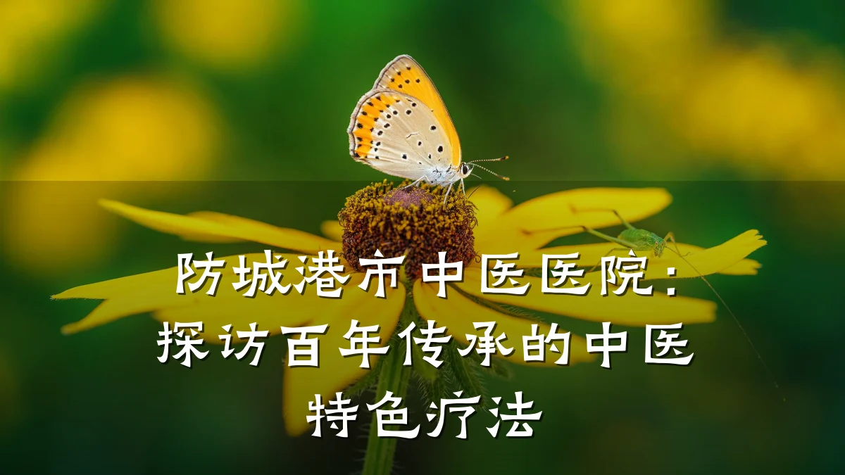 防城港市中医医院:探访百年传承的中医特色疗法