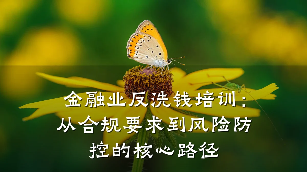 金融业反洗钱培训：从合规要求到风险防控的核心路径