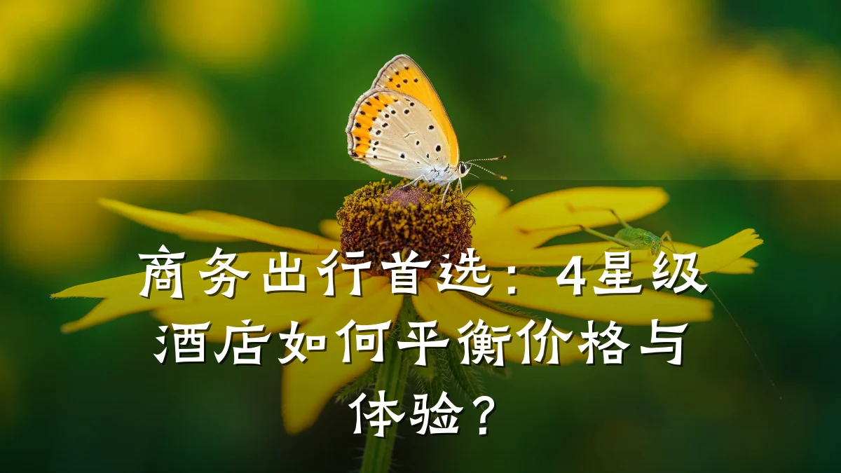 商务出行首选:4星级酒店如何平衡价格与体验?