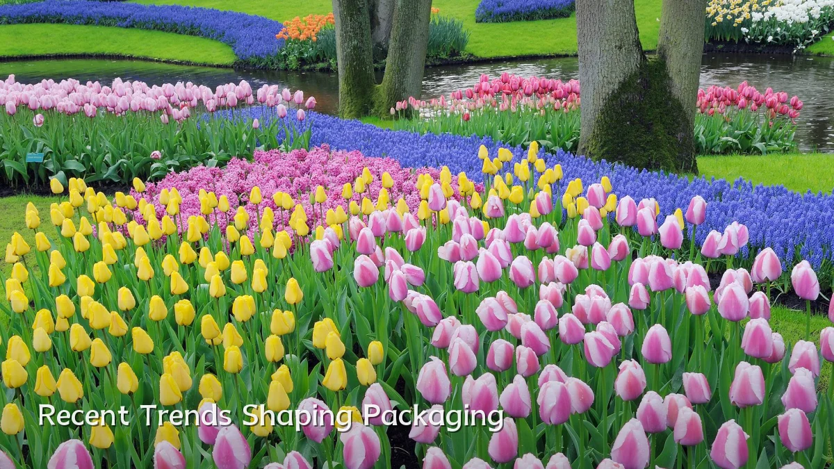 Recent Trends Shaping Packaging