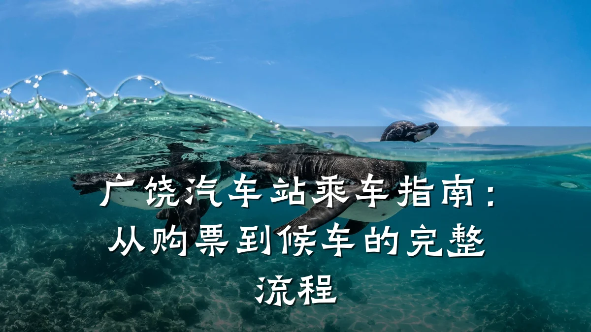 广饶汽车站乘车指南：从购票到候车的完整流程