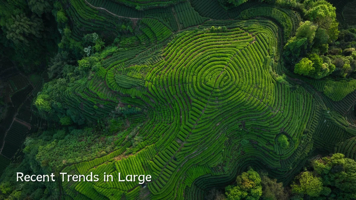 Recent Trends in Large