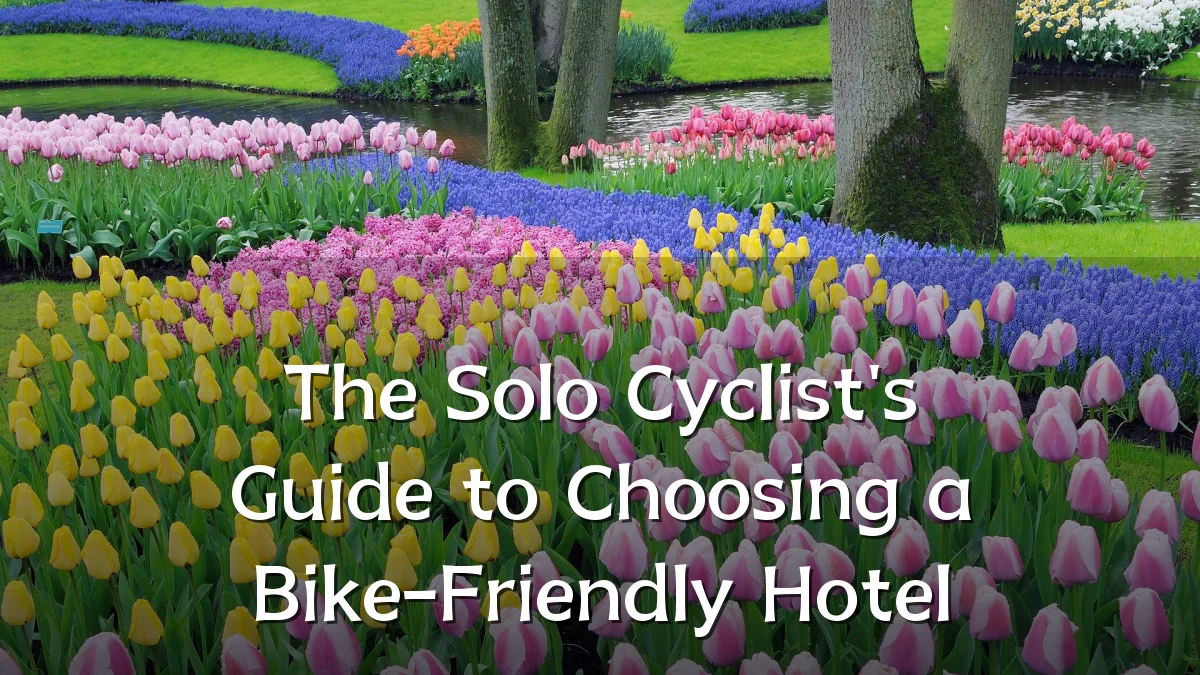 The Solo Cyclist's Guide to Choosing a Bike-Friendly Hotel