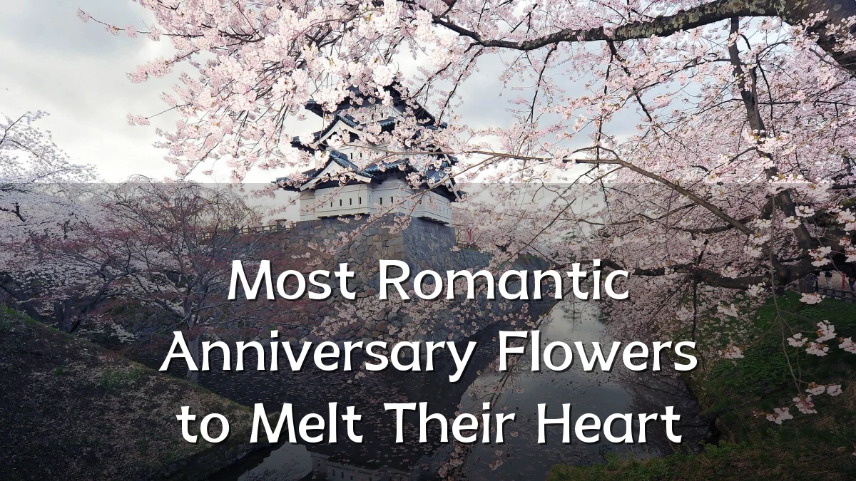 Most Romantic Anniversary Flowers to Melt Their Heart