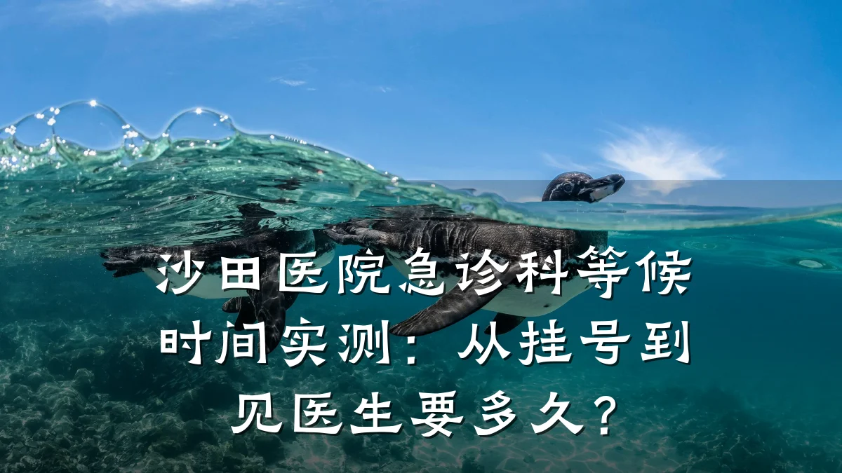 沙田医院急诊科等候时间实测：从挂号到见医生要多久？