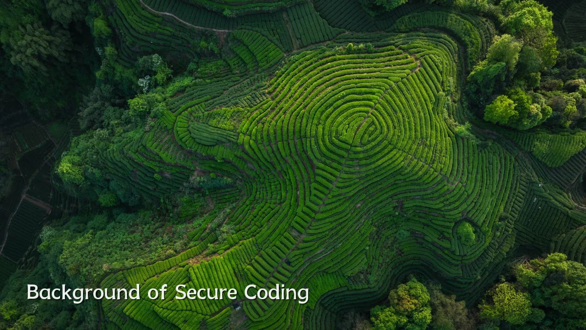 Background of Secure Coding