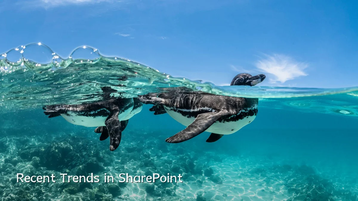 Recent Trends in SharePoint