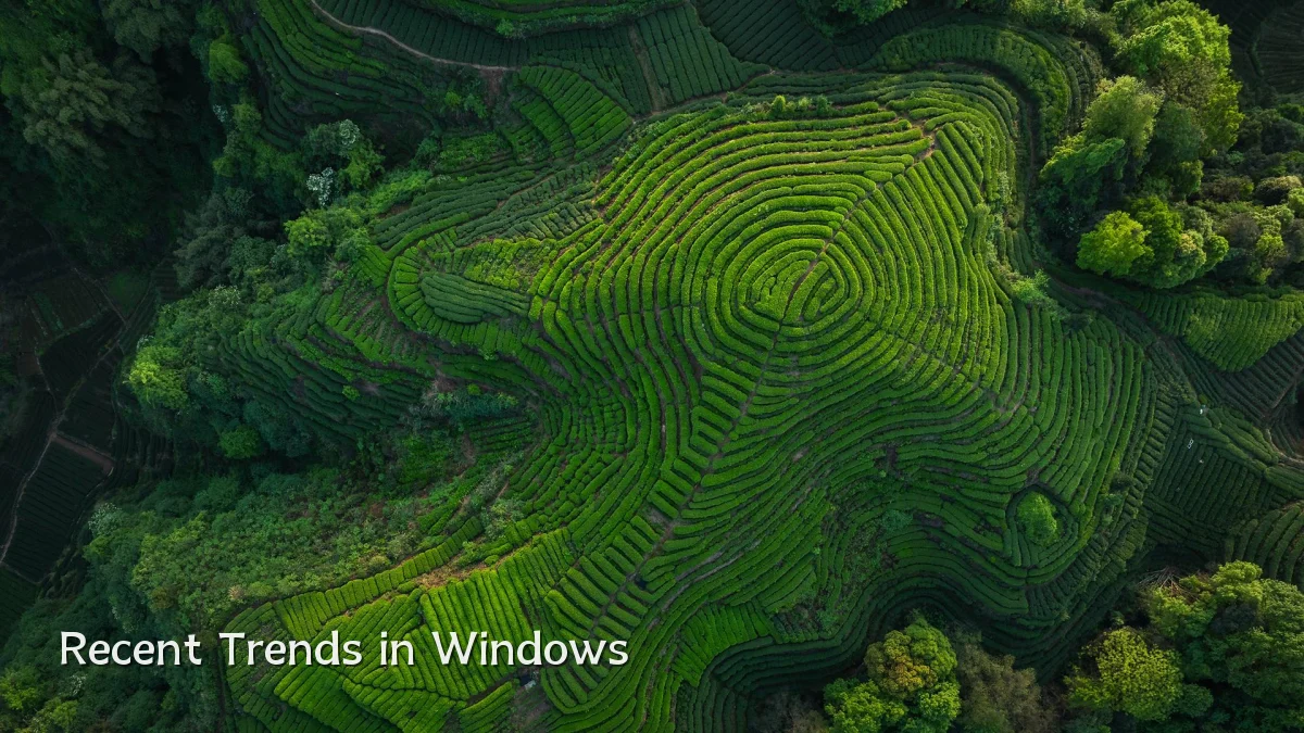 Recent Trends in Windows