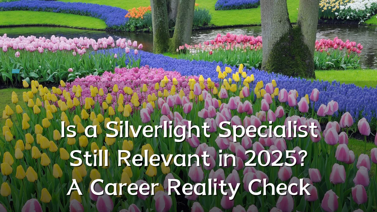 Is a Silverlight Specialist Still Relevant in 2025? A Career Reality Check