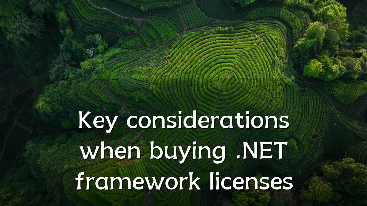 Key considerations when buying .NET framework licenses