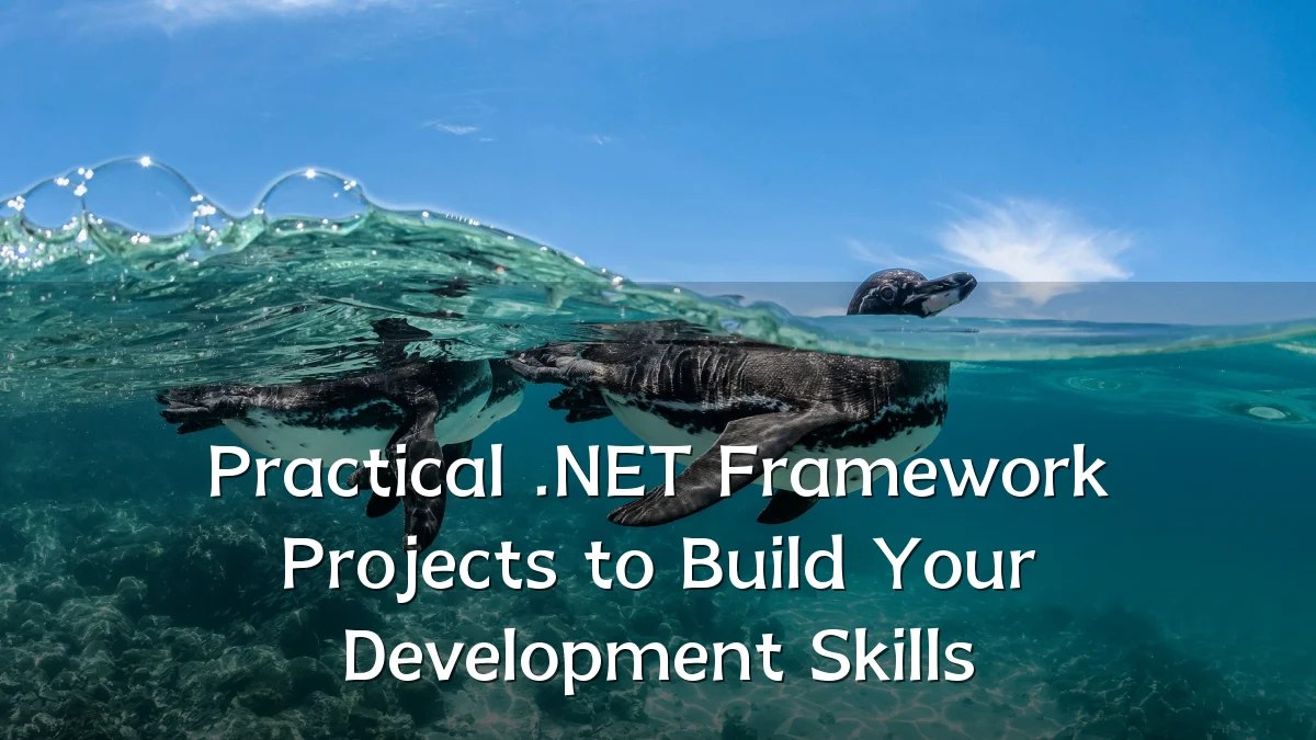 Practical .NET Framework Projects to Build Your Development Skills
