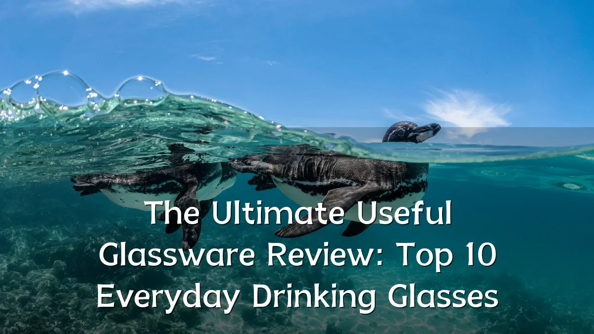 The Ultimate Useful Glassware Review: Top 10 Everyday Drinking Glasses