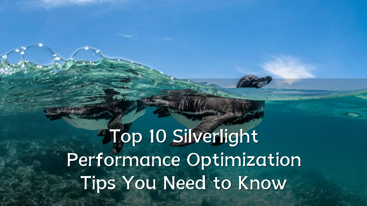 Top 10 Silverlight Performance Optimization Tips You Need to Know