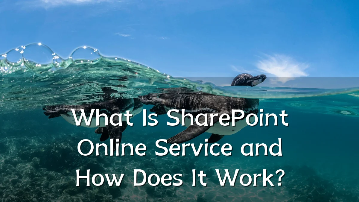 What Is SharePoint Online Service and How Does It Work?