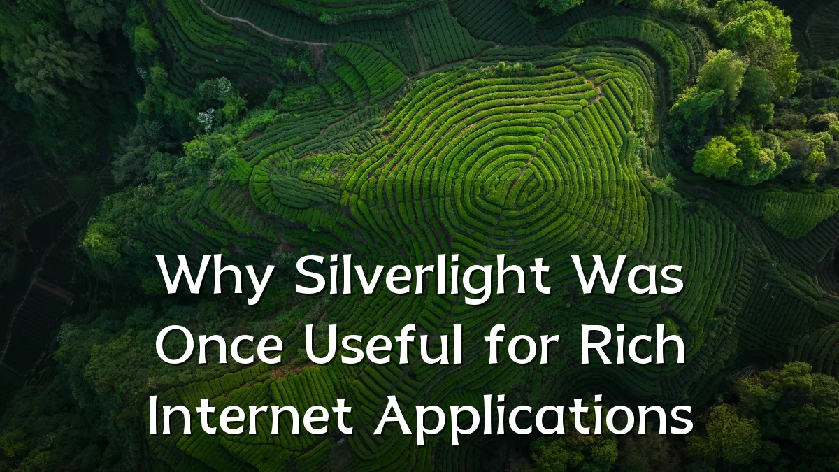 Why Silverlight Was Once Useful for Rich Internet Applications