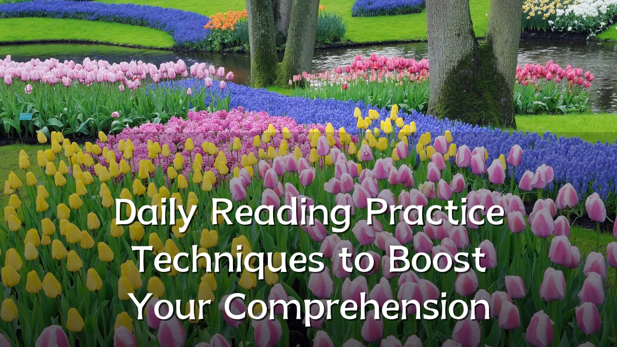 Daily Reading Practice Techniques to Boost Your Comprehension