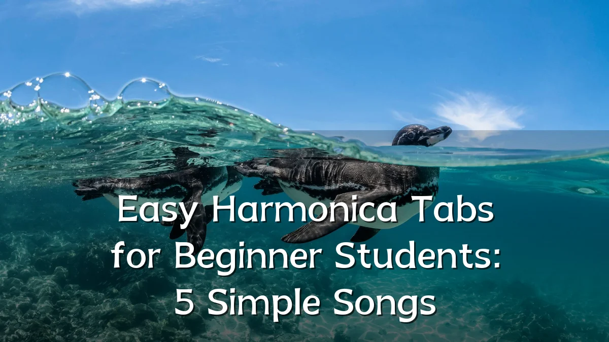 Easy Harmonica Tabs for Beginner Students: 5 Simple Songs