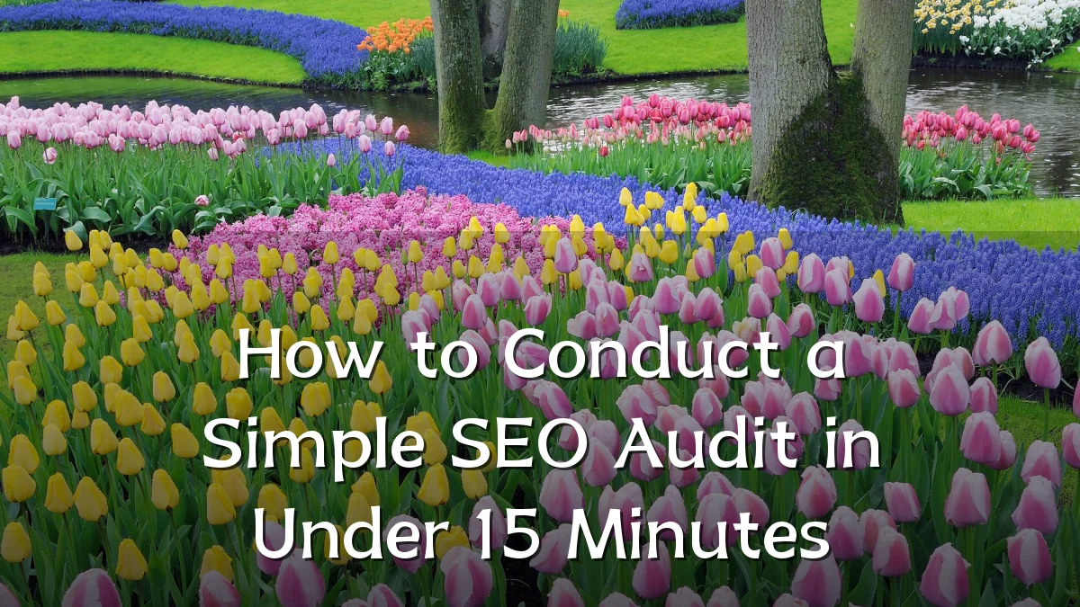 How to Conduct a Simple SEO Audit in Under 15 Minutes