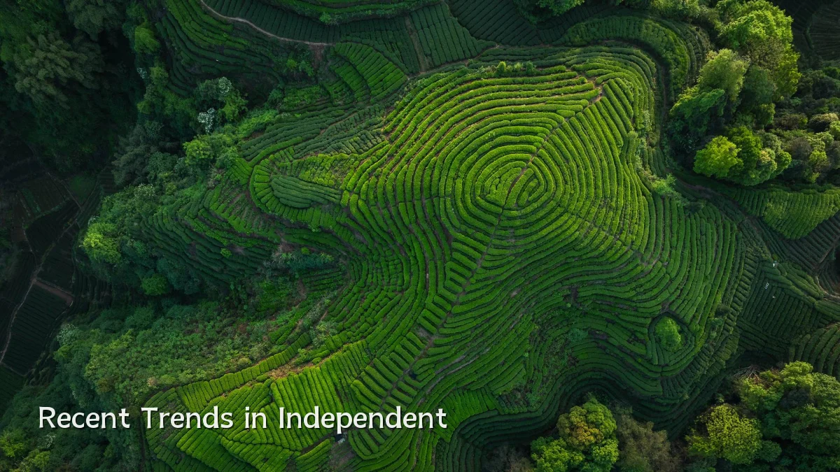 Recent Trends in Independent