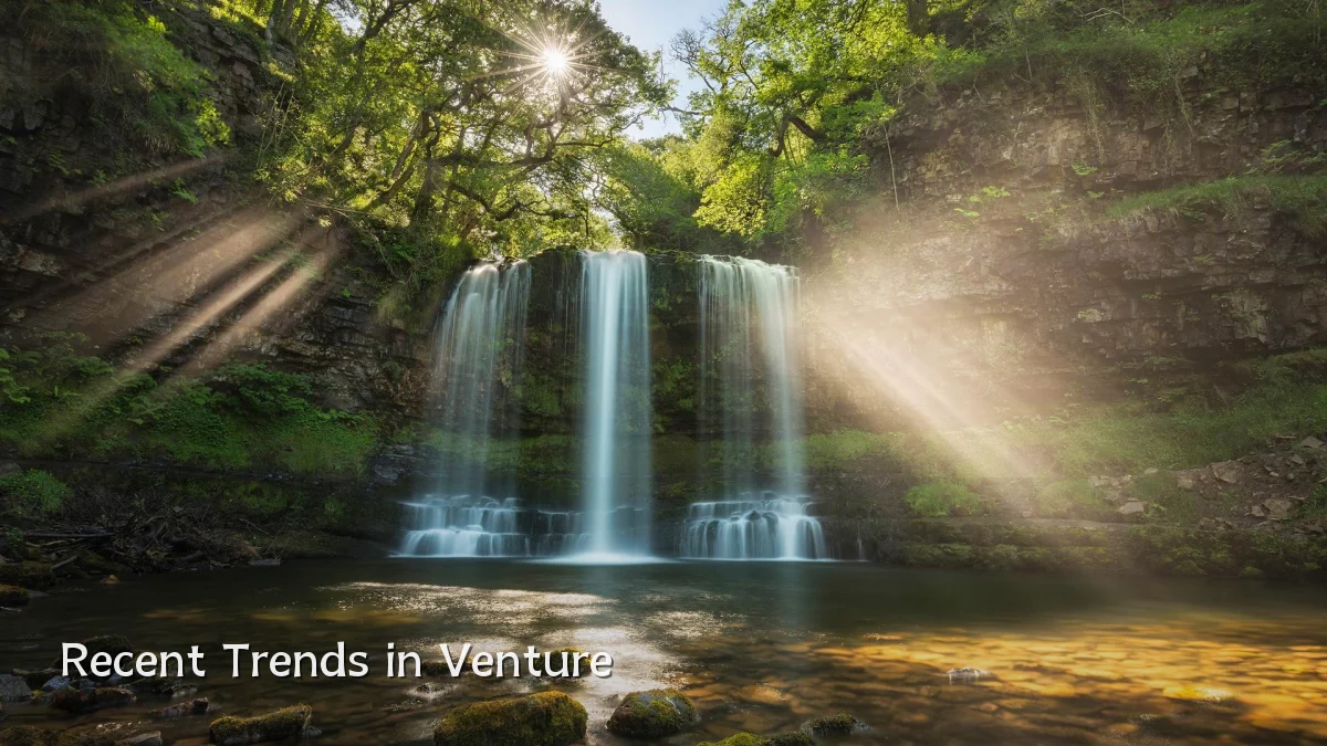 Recent Trends in Venture