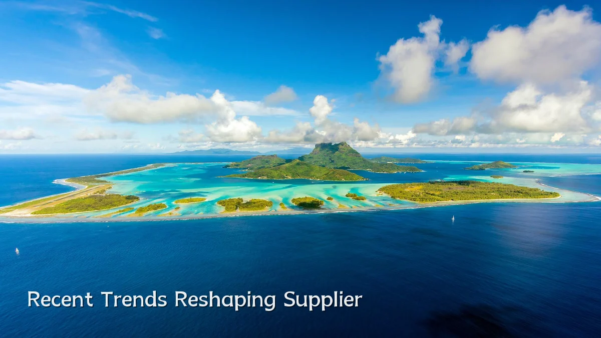 Recent Trends Reshaping Supplier
