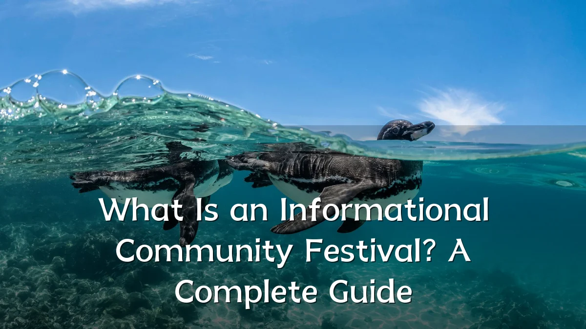What Is an Informational Community Festival? A Complete Guide