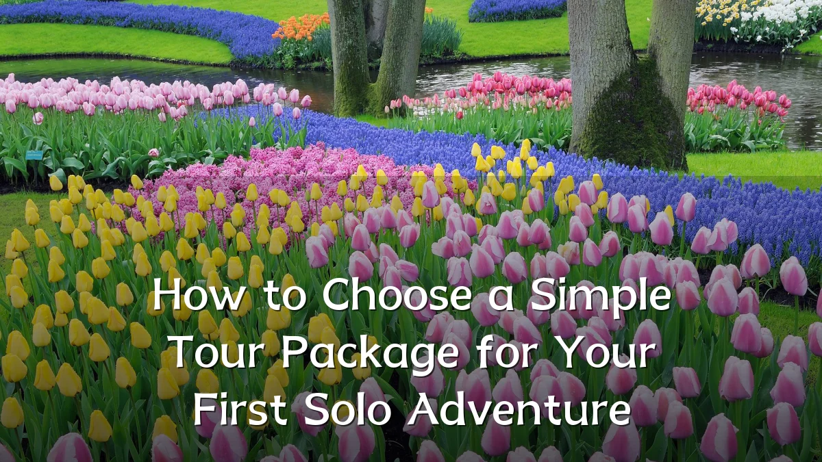 How to Choose a Simple Tour Package for Your First Solo Adventure