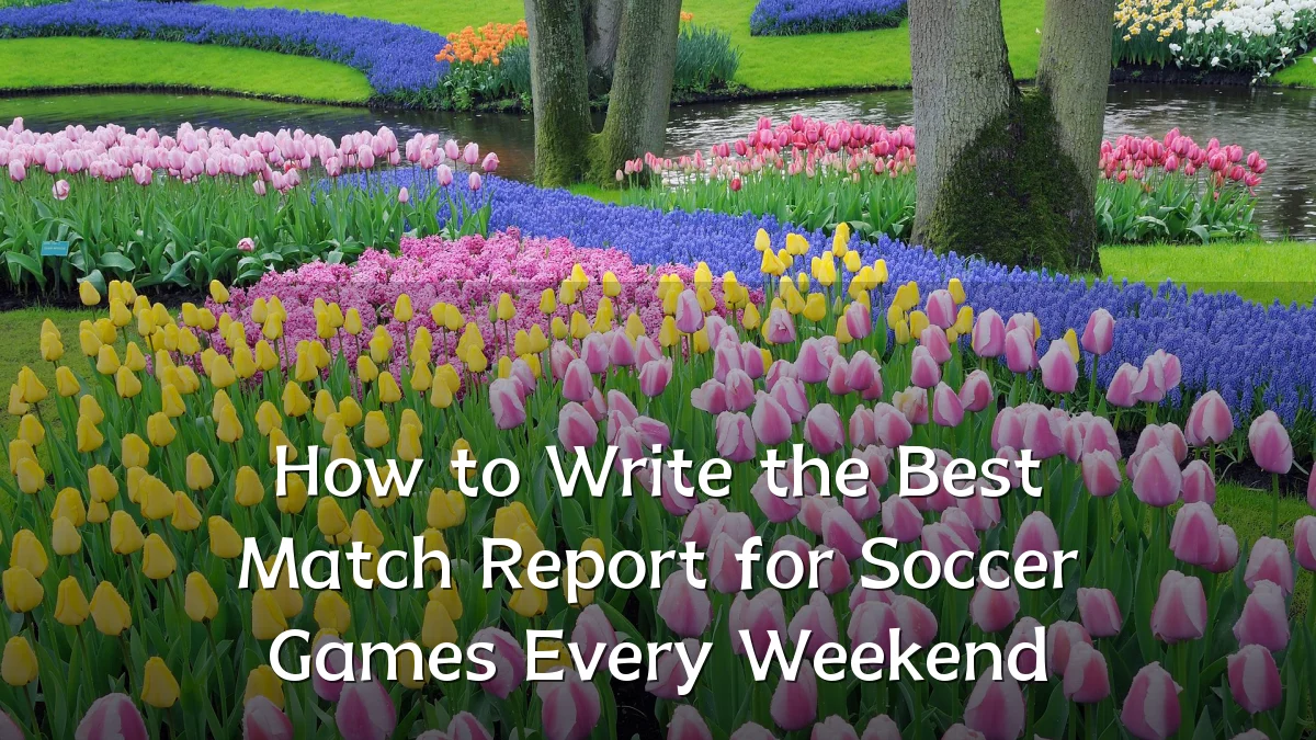 How to Write the Best Match Report for Soccer Games Every Weekend