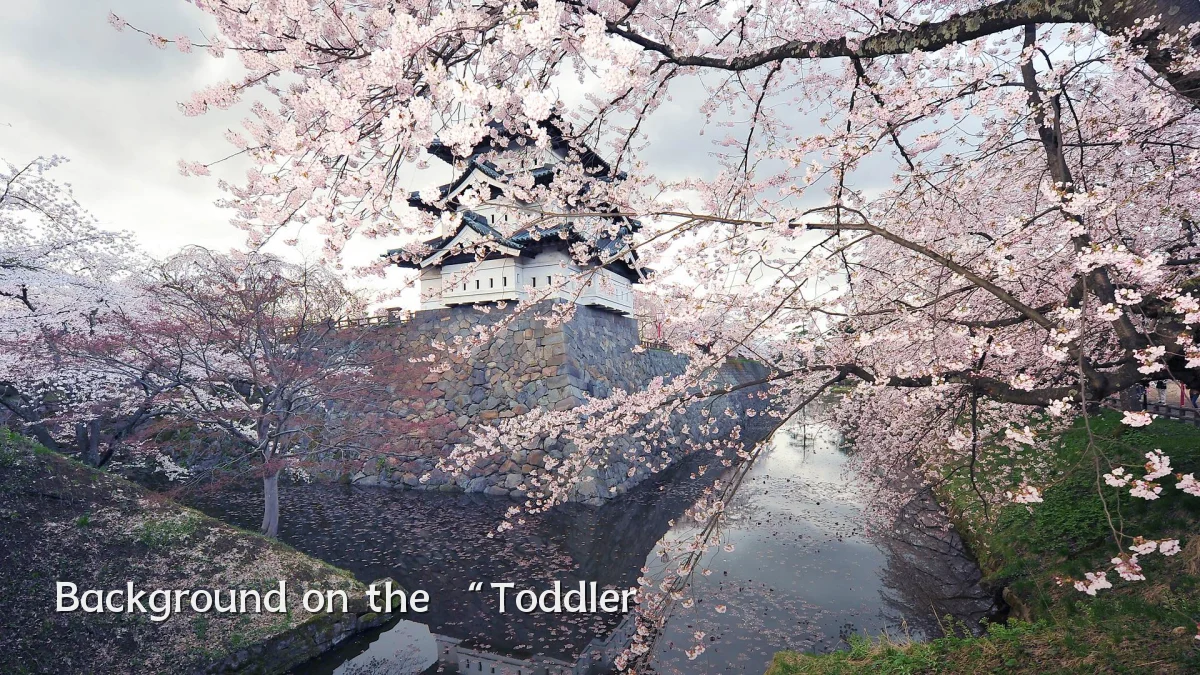 Background on the “Toddler