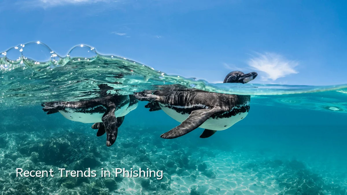 Recent Trends in Phishing