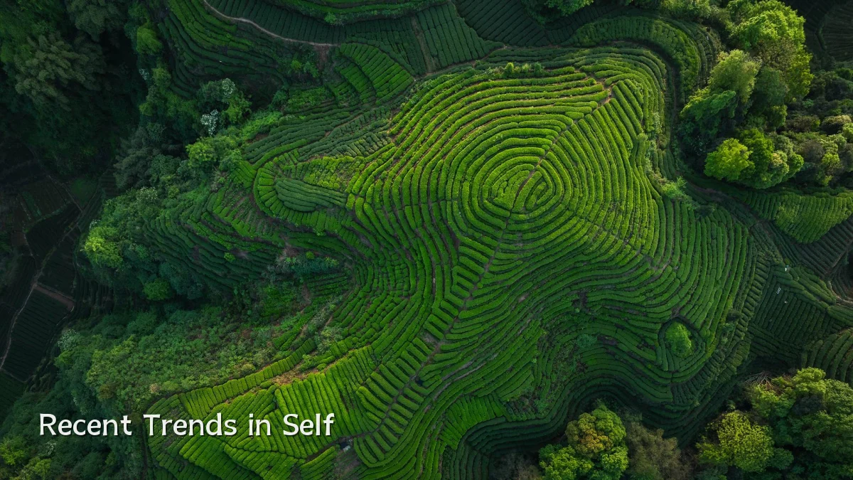 Recent Trends in Self