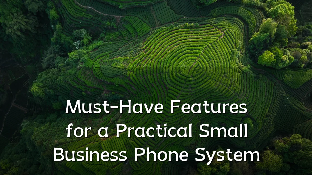 Must-Have Features for a Practical Small Business Phone System