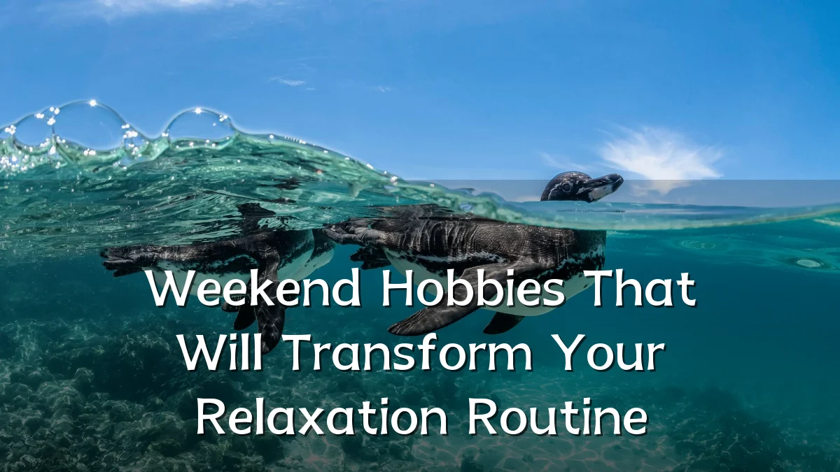 Weekend Hobbies That Will Transform Your Relaxation Routine