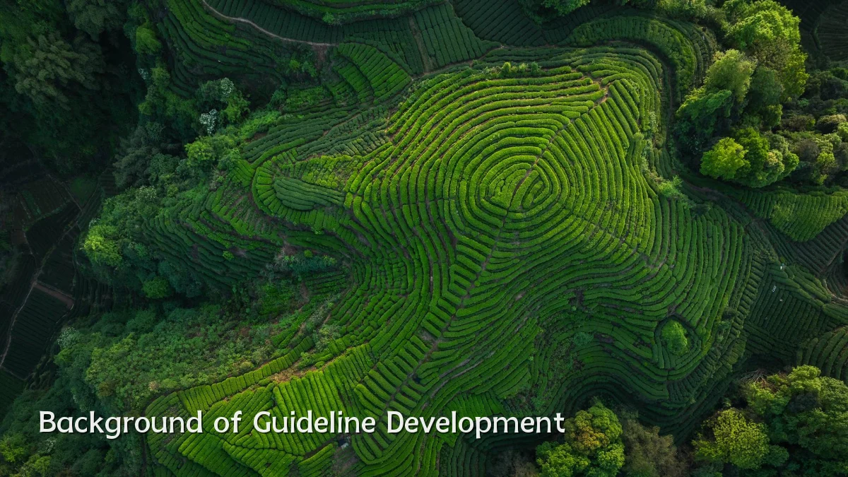 Background of Guideline Development