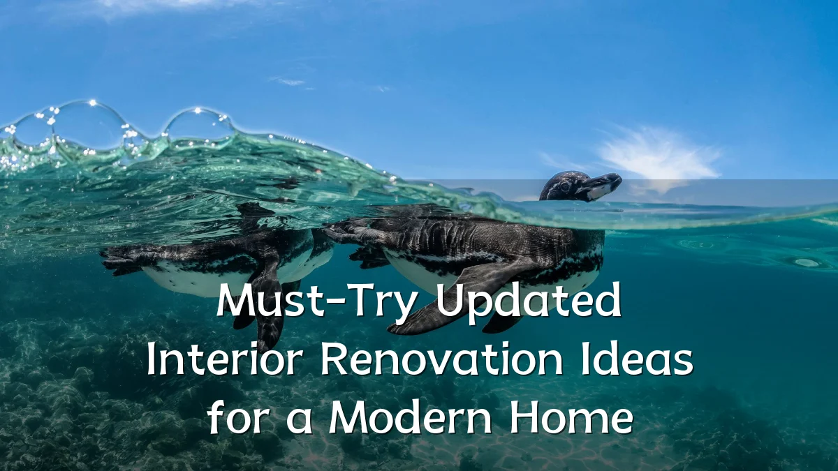 Must-Try Updated Interior Renovation Ideas for a Modern Home