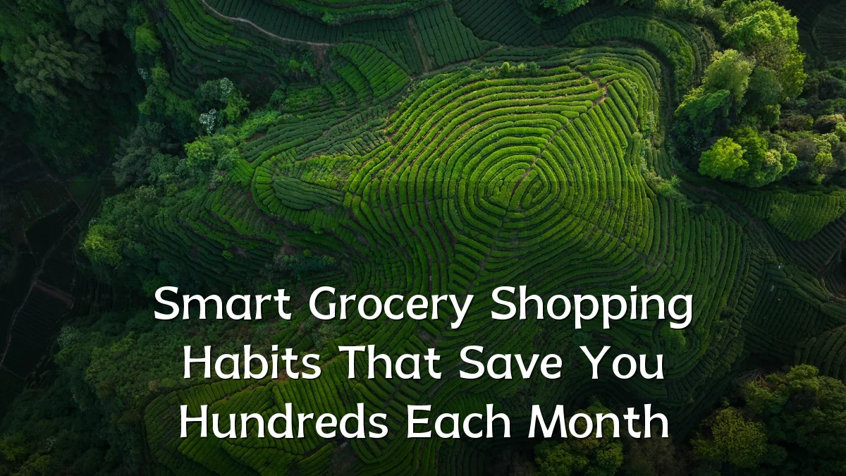 Smart Grocery Shopping Habits That Save You Hundreds Each Month