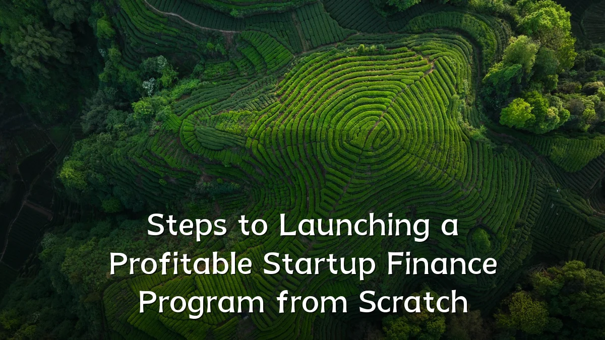 Steps to Launching a Profitable Startup Finance Program from Scratch