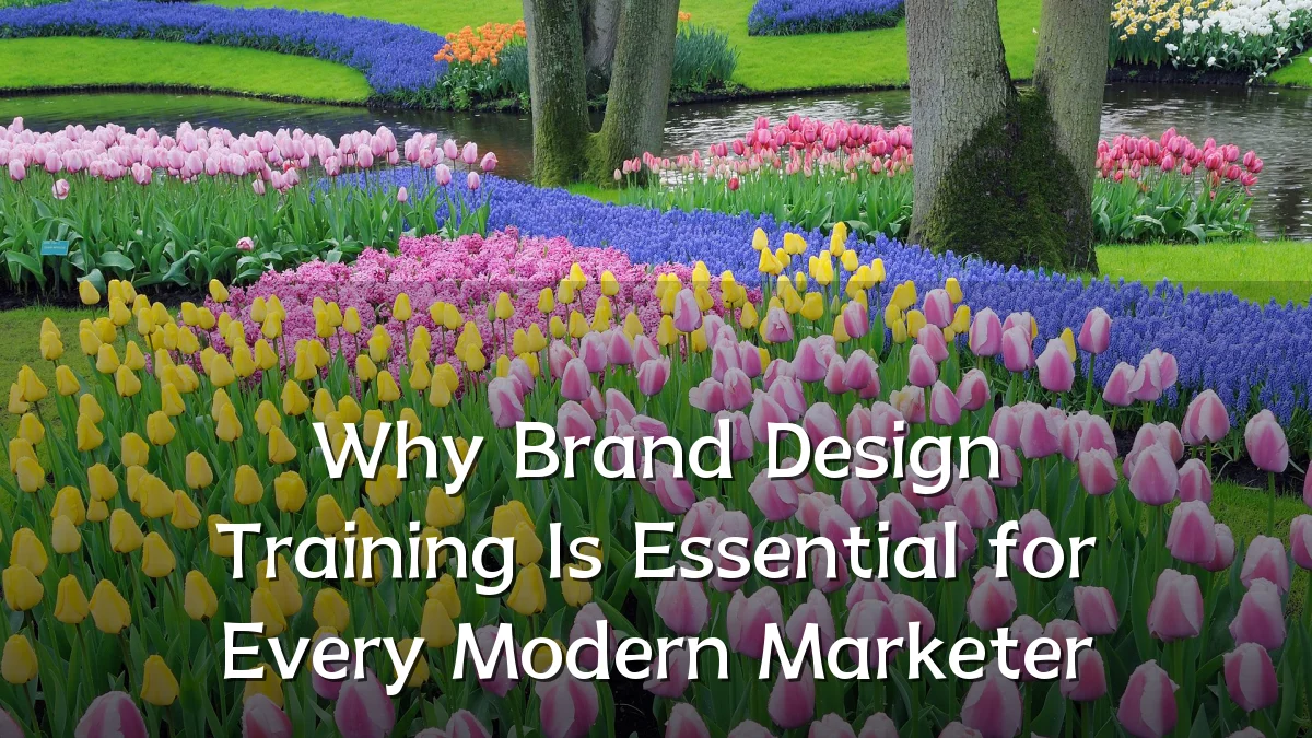 Why Brand Design Training Is Essential for Every Modern Marketer