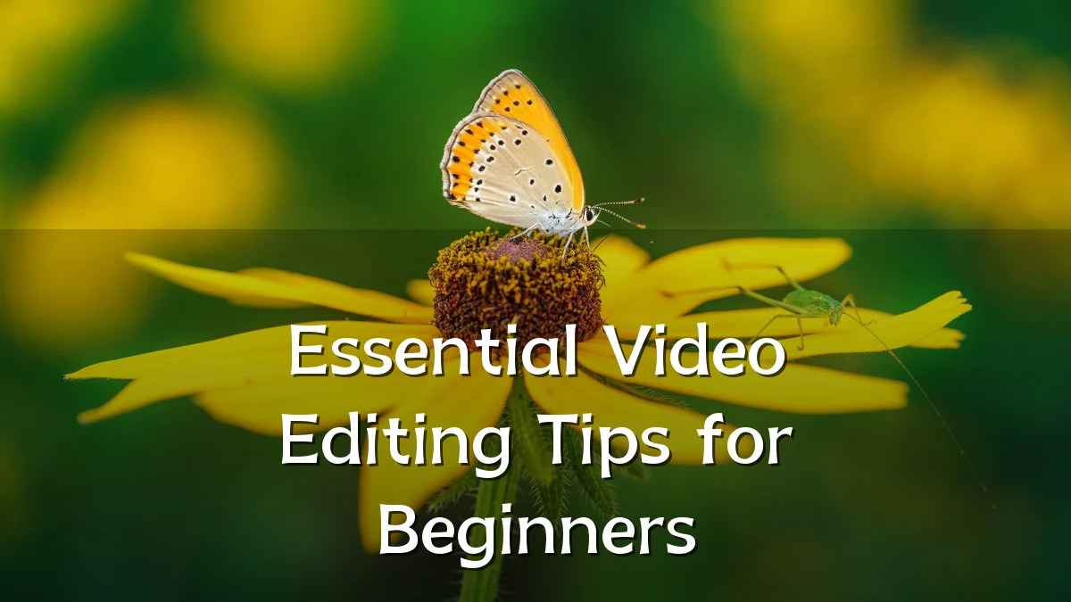Essential Video Editing Tips for Beginners