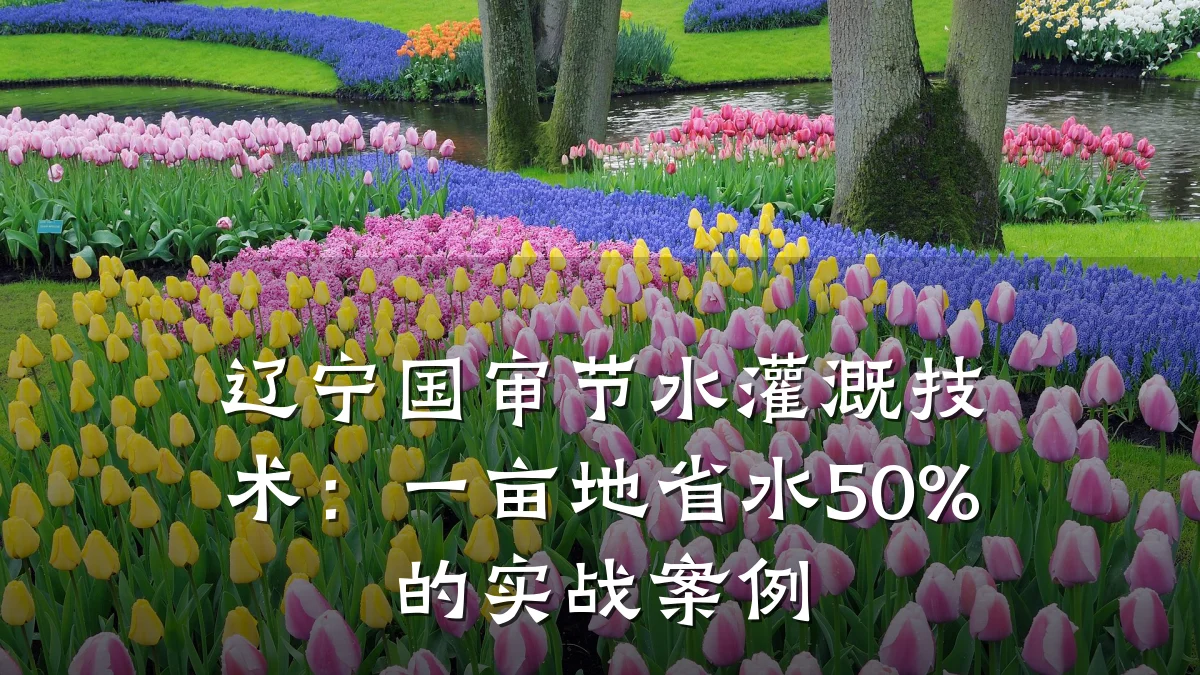 辽宁国审节水灌溉技术:一亩地省水50%的实战案例
