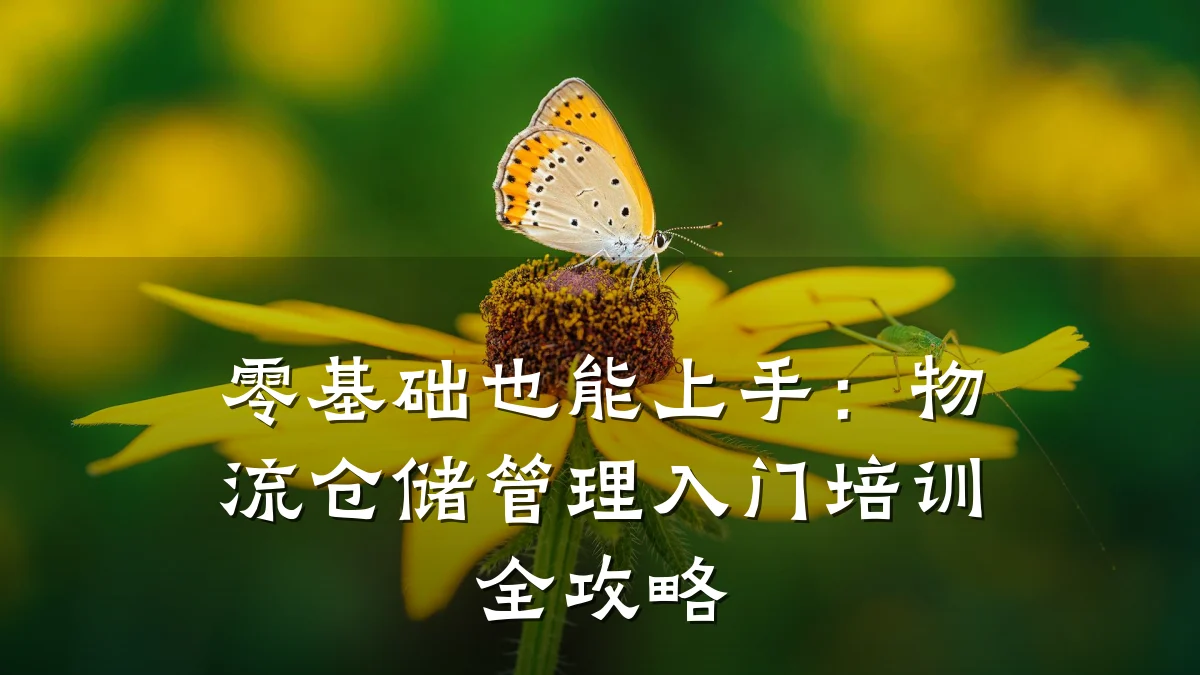 零基础也能上手：物流仓储管理入门培训全攻略