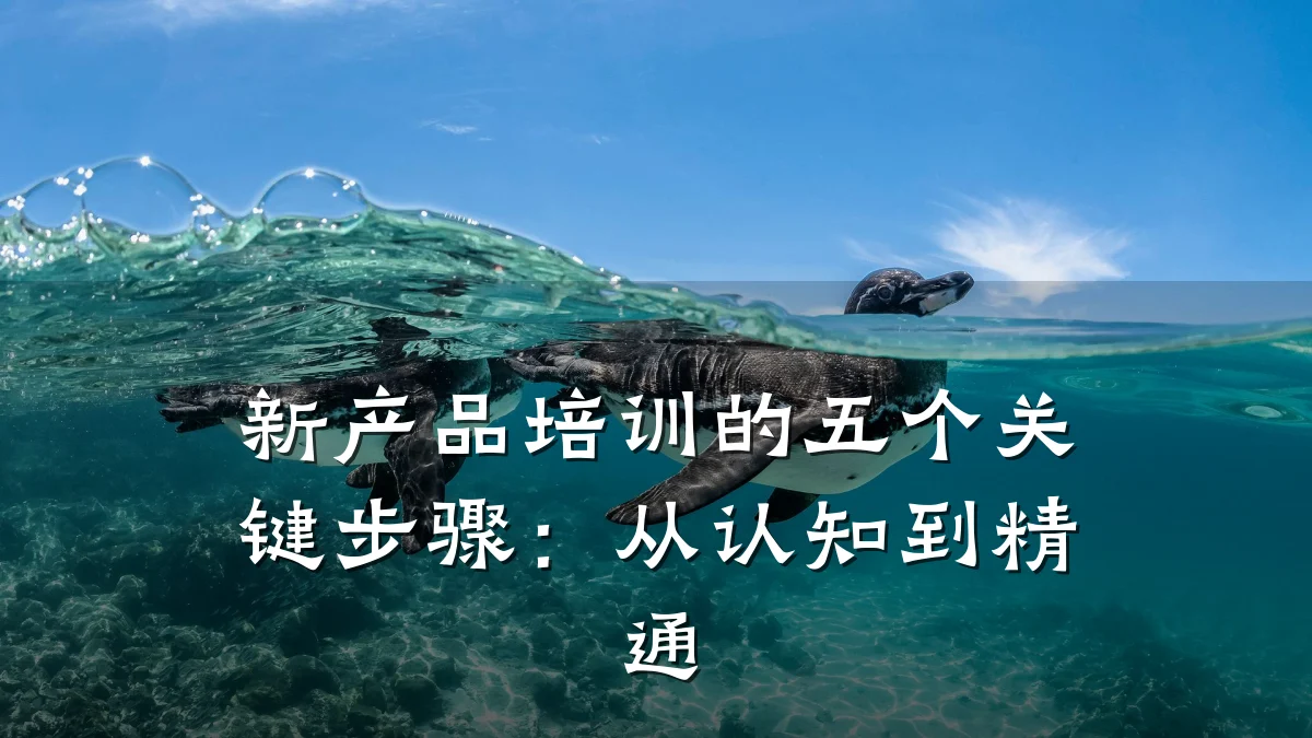 新产品培训的五个关键步骤：从认知到精通