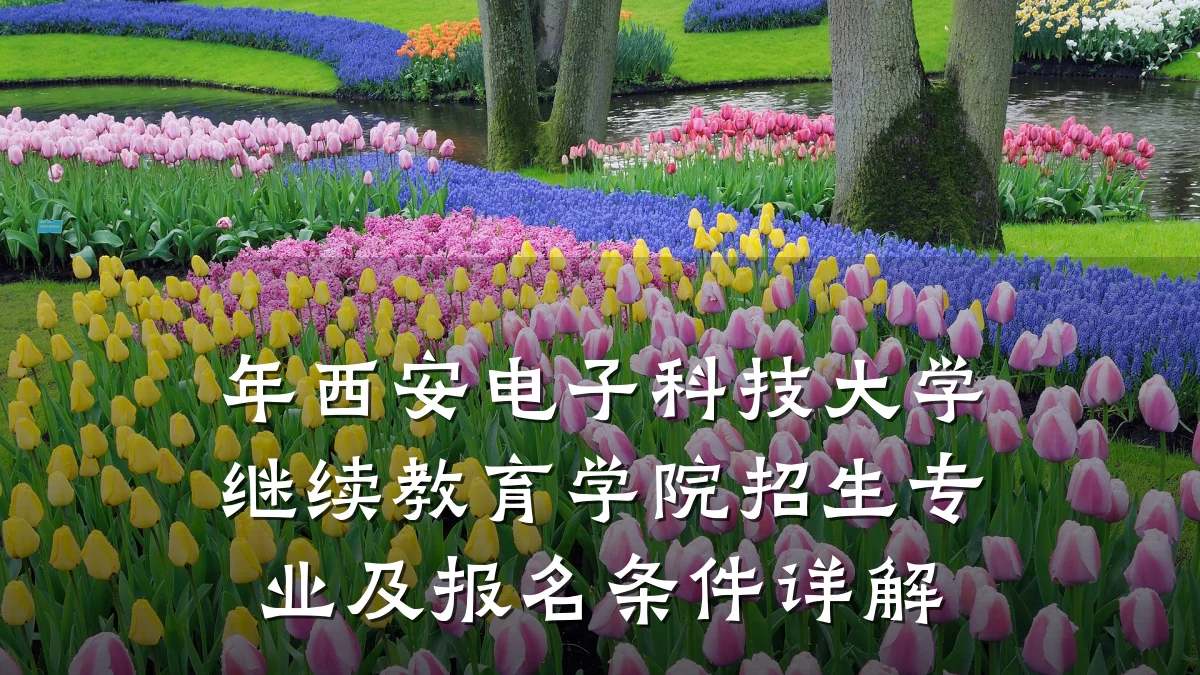 年西安电子科技大学继续教育学院招生专业及报名条件详解