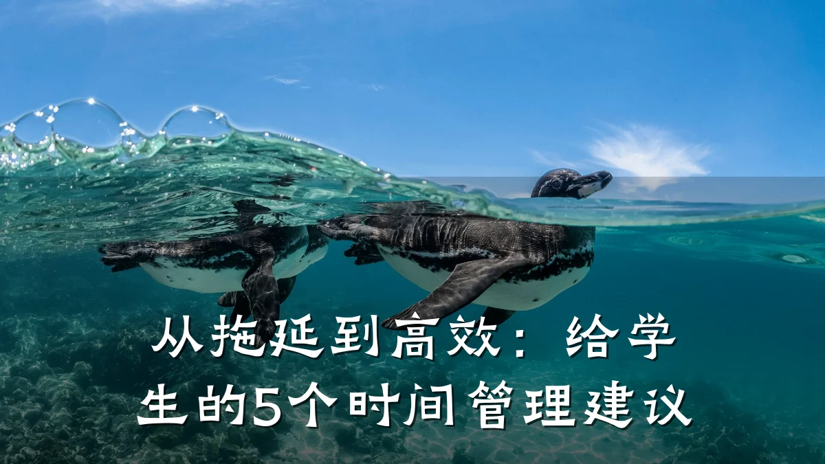 从拖延到高效：给学生的5个时间管理建议