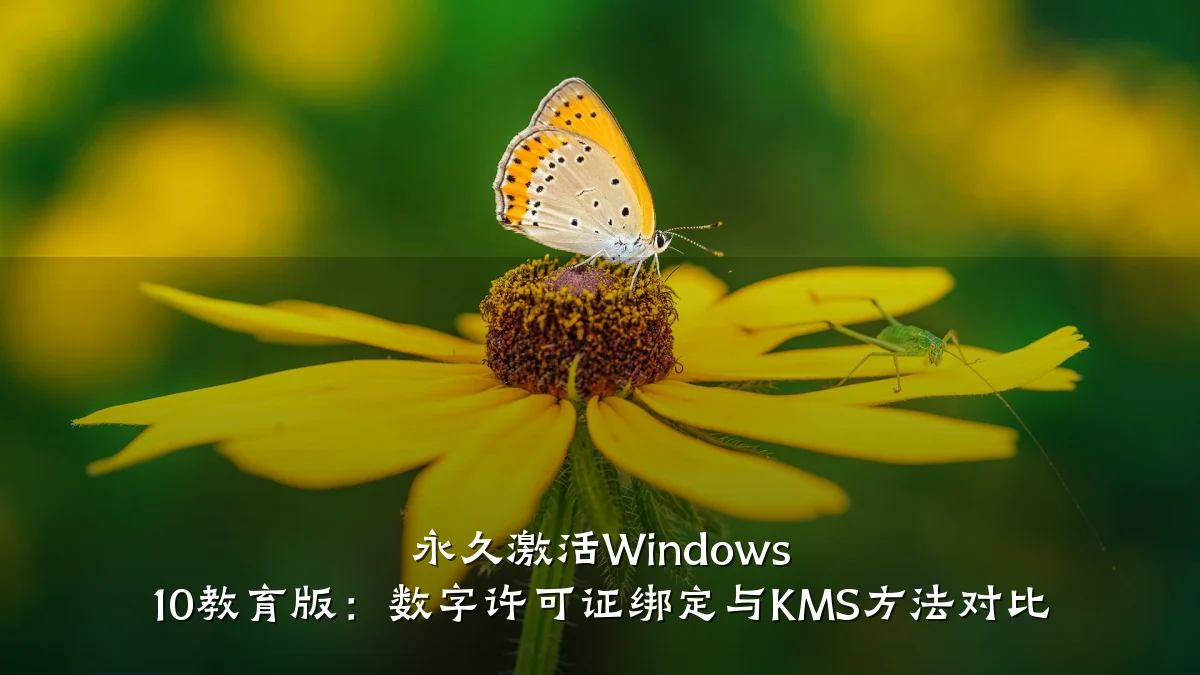 永久激活Windows 10教育版:数字许可证绑定与KMS方法对比