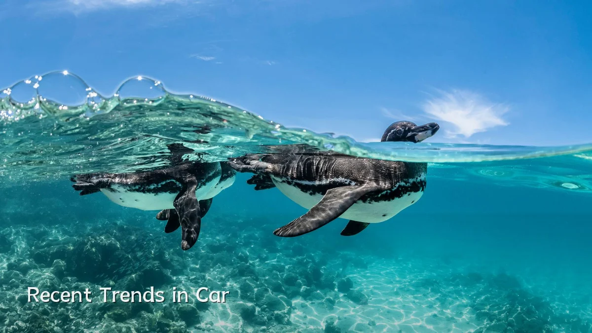 Recent Trends in Car