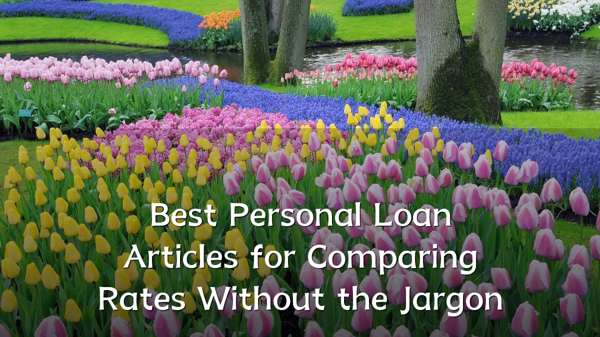 Best Personal Loan Articles for Comparing Rates Without the Jargon
