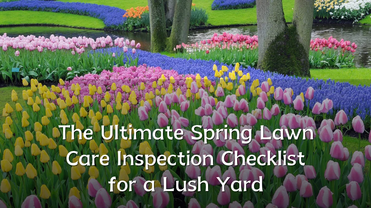 The Ultimate Spring Lawn Care Inspection Checklist for a Lush Yard